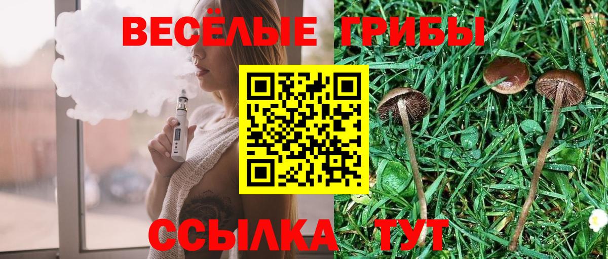 Галлюциногенные грибы MAGIC MUSHROOMS  Псилоцибиновые грибы Magic Shrooms  Вход с VPN  Ликино-Дулёво 