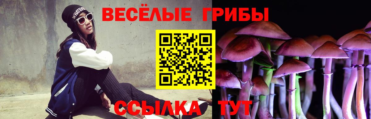 Галлюциногенные грибы мицелий Ликино-Дулёво